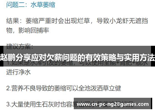 赵鹏分享应对欠薪问题的有效策略与实用方法 赵鹏分享应对欠薪问题的有效策略与实用方法