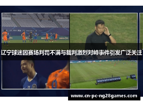辽宁球迷因赛场判罚不满与裁判激烈对峙事件引发广泛关注