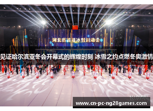 见证哈尔滨亚冬会开幕式的辉煌时刻 冰雪之约点燃冬奥激情