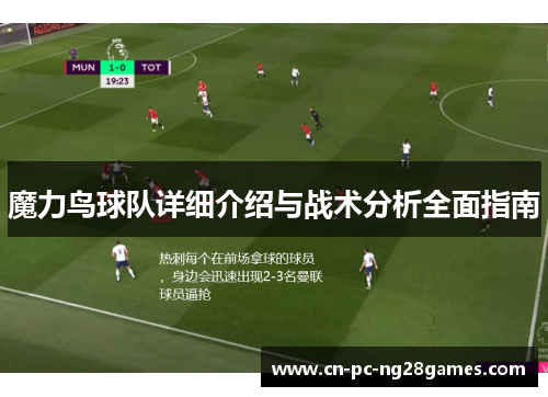 魔力鸟球队详细介绍与战术分析全面指南 魔力鸟球队详细介绍与战术分析全面指南
